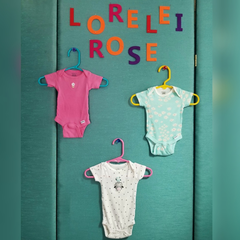 NB Gerber/Carter's Bodysuits Set of 3 (Girl)